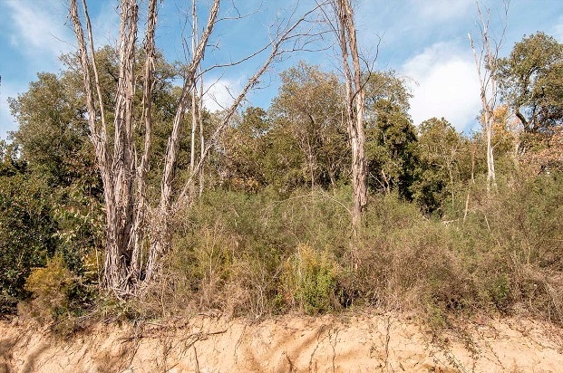 Terreno en Riudarenes, Gerona en venta Foto principal- Imagen 1 de 7