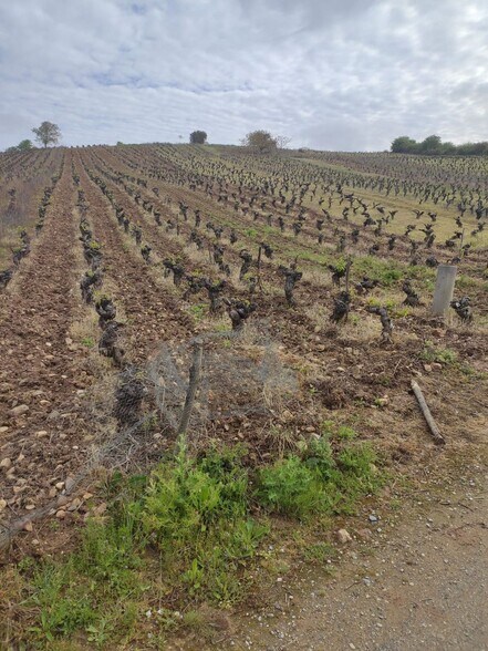 Polígono, S/N, Camponaraya, León en venta - Foto del edificio - Imagen 3 de 6