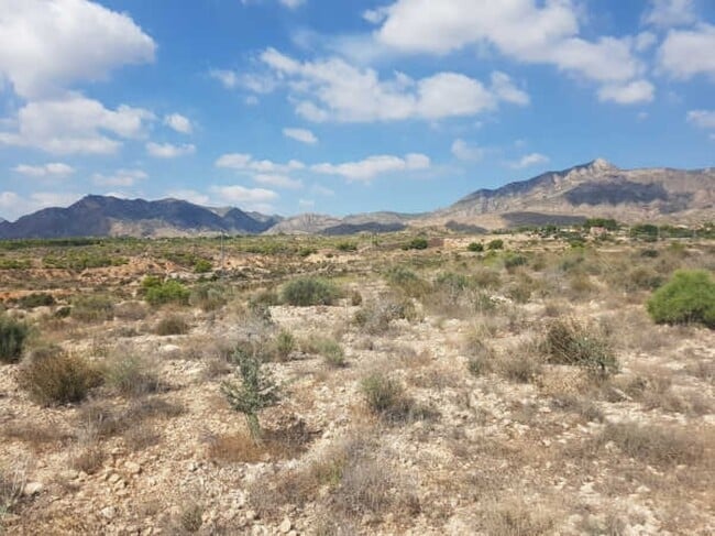 Más detalles de Cinco-El Moco, Albatera - Terreno en venta