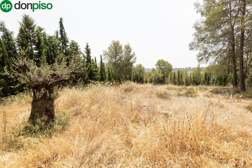 Calle Poetas Populares, Albolote, Granada en venta - Foto principal - Imagen 1 de 40