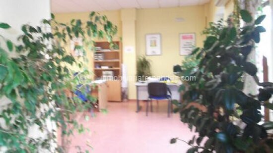 Más detalles de Local en venta