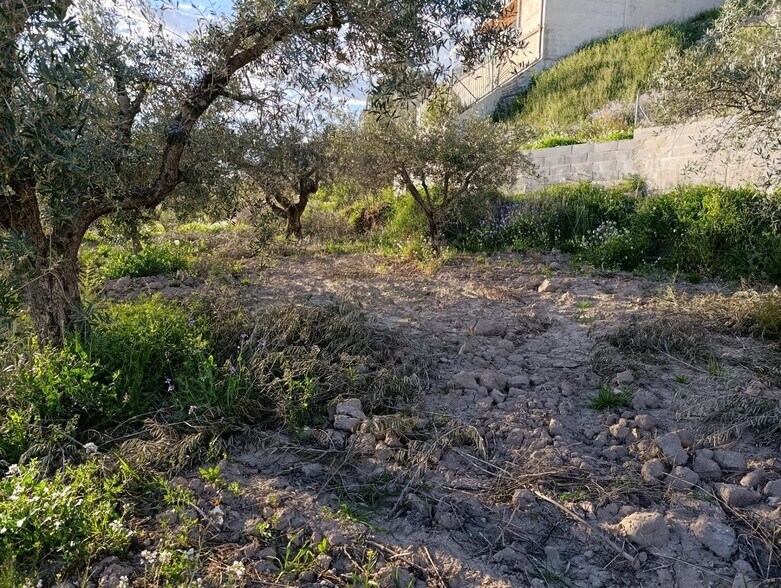 Terreno en Cehegín, Murcia en venta - Foto del edificio - Imagen 3 de 6