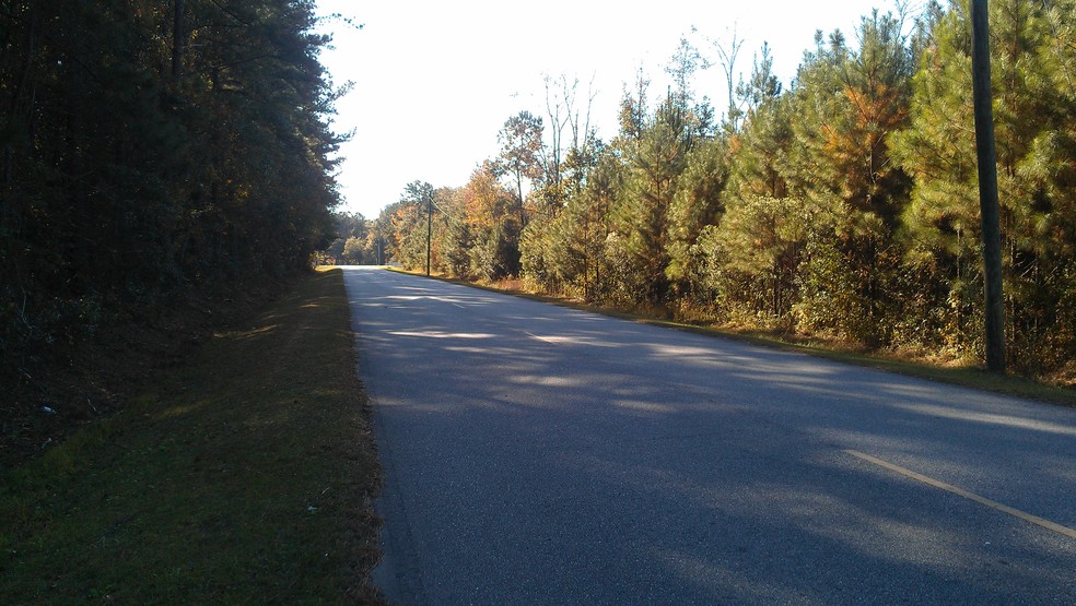 Frances Meeks Way, Richmond Hill, GA en venta - Foto del edificio - Imagen 2 de 4