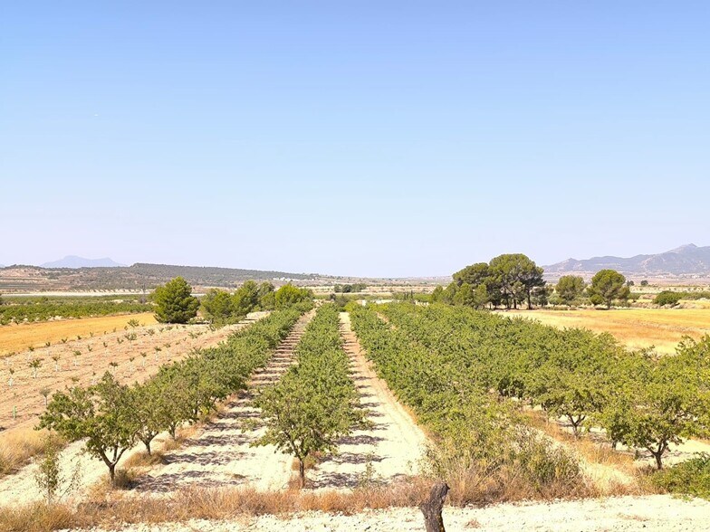 Terreno en MONÒVER, Alicante en venta - Foto del edificio - Imagen 3 de 6