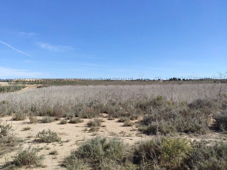 Terreno en Alhama de Murcia en venta - Foto del edificio - Imagen 2 de 7