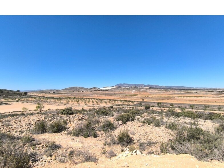 Terreno en PINOSO en venta - Foto del edificio - Imagen 2 de 10