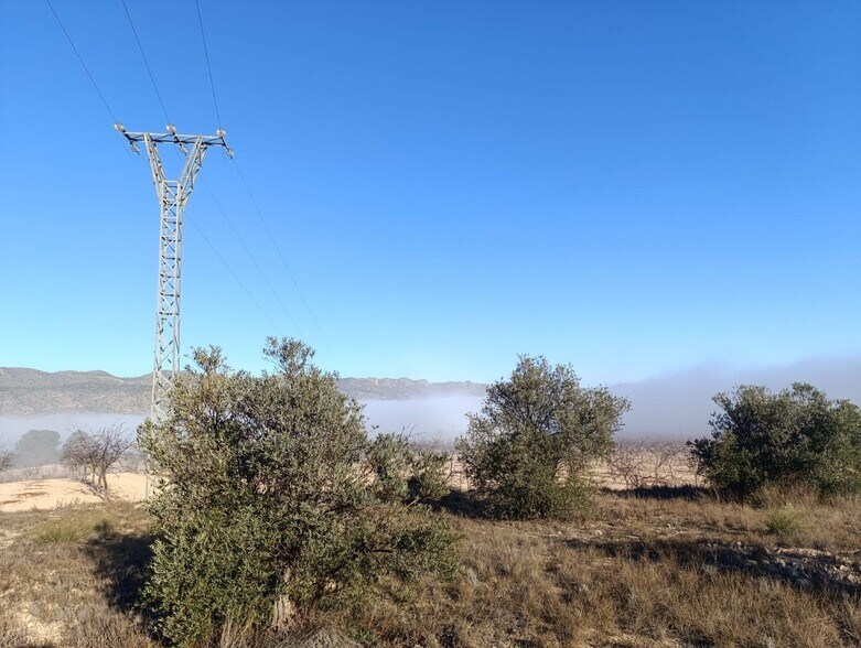 Terreno en Yecla, Murcia en venta - Vista aérea - Imagen 3 de 11