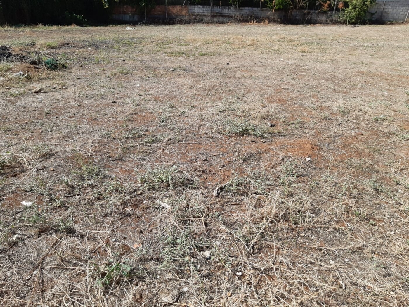 Terreno en Córdoba, Córdoba en venta Plano del sitio- Imagen 1 de 7