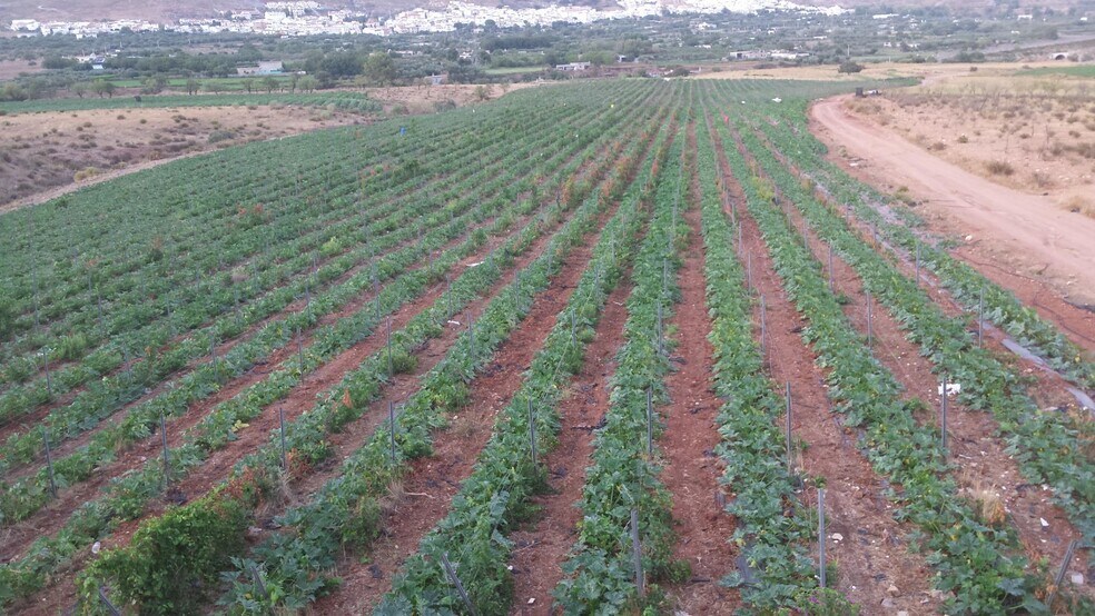Terreno en LAUJAR DE ANDARAX, Almería en venta - Foto del edificio - Imagen 3 de 36