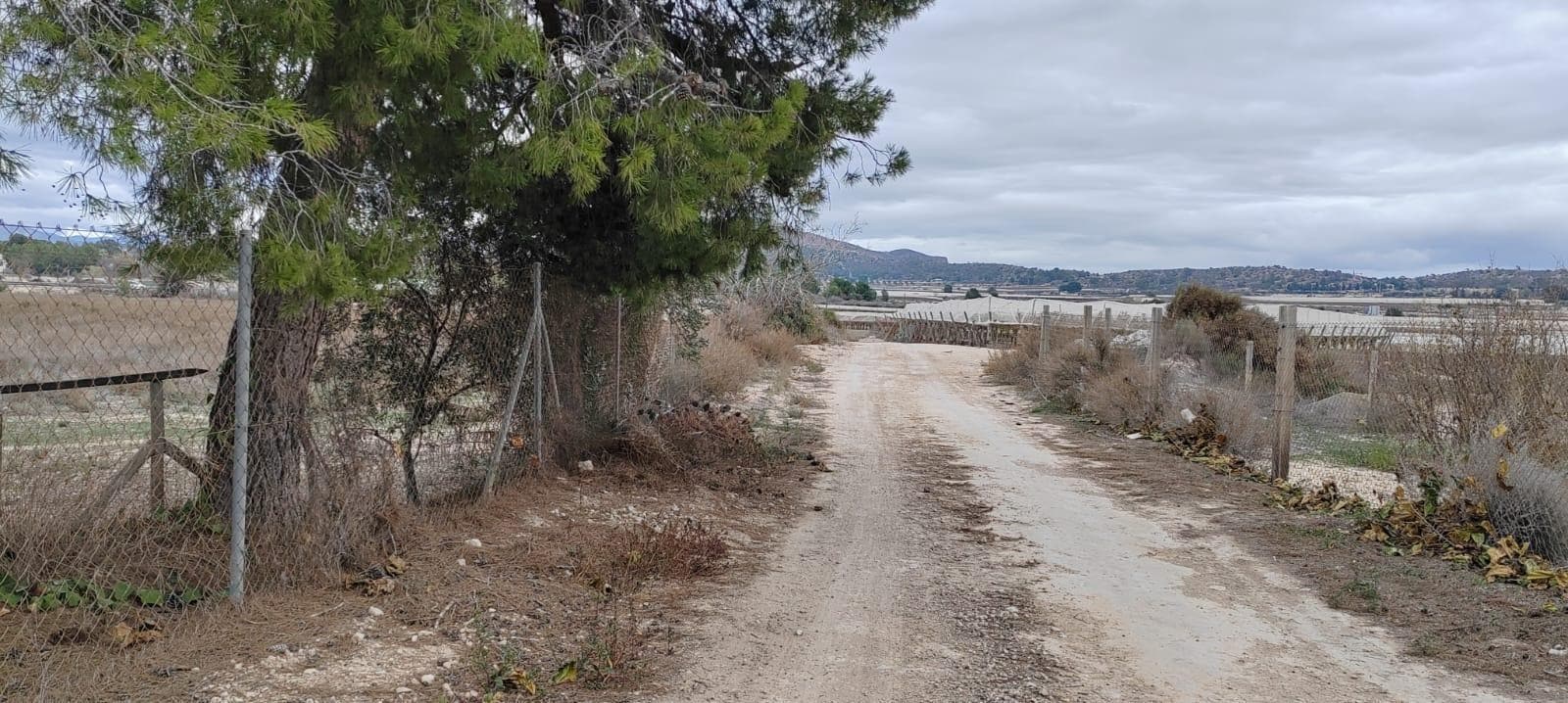 Terreno en Monforte del Cid, Alicante en venta Foto del edificio- Imagen 1 de 10