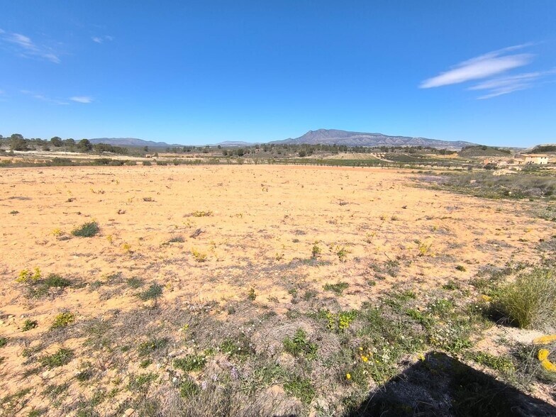 Terreno en Jumilla en venta - Foto del edificio - Imagen 1 de 4