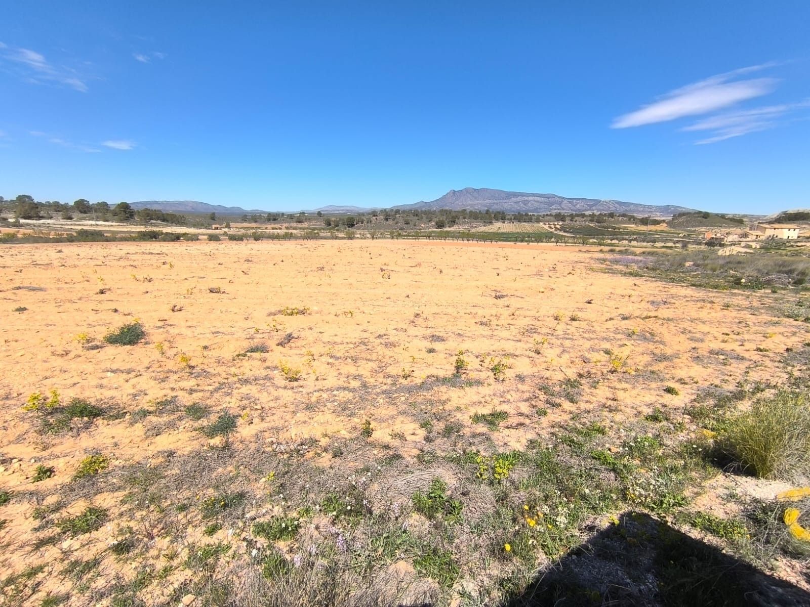 Terreno en Jumilla, Murcia en venta Foto principal- Imagen 1 de 5