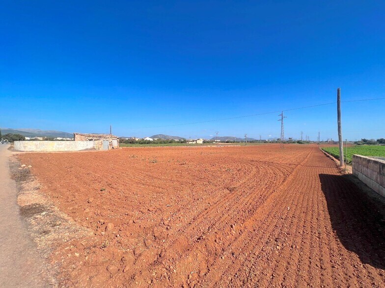Terreno en Sa Pobla en venta - Plano del sitio - Imagen 2 de 13