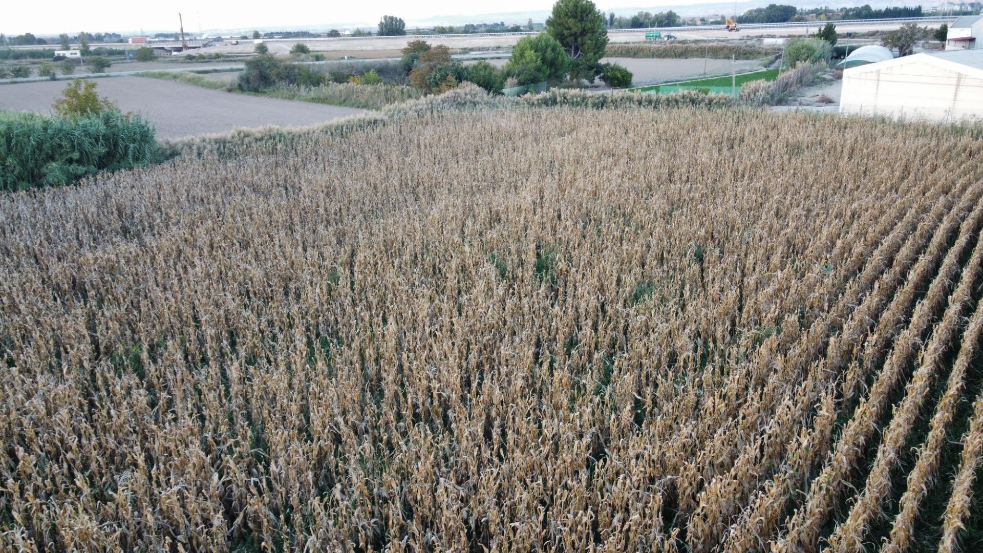 Terreno en Mallén, Zaragoza en venta Vista aérea- Imagen 1 de 5