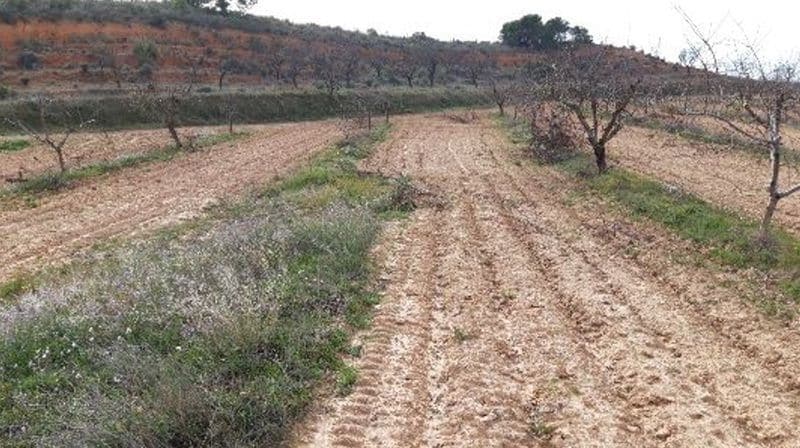 Camino de los Charquillos, Yecla, Murcia en alquiler - Plano del sitio - Imagen 2 de 9