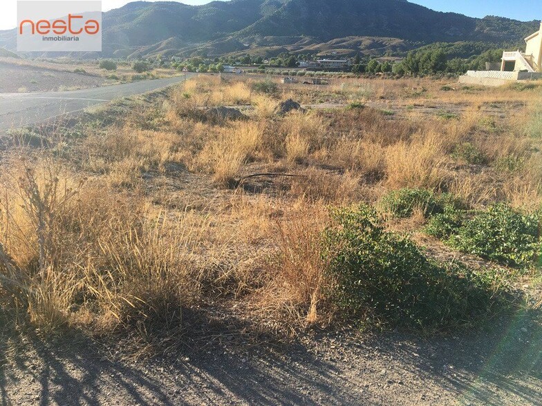 Terreno en Lorca, Murcia en venta - Foto del edificio - Imagen 3 de 4
