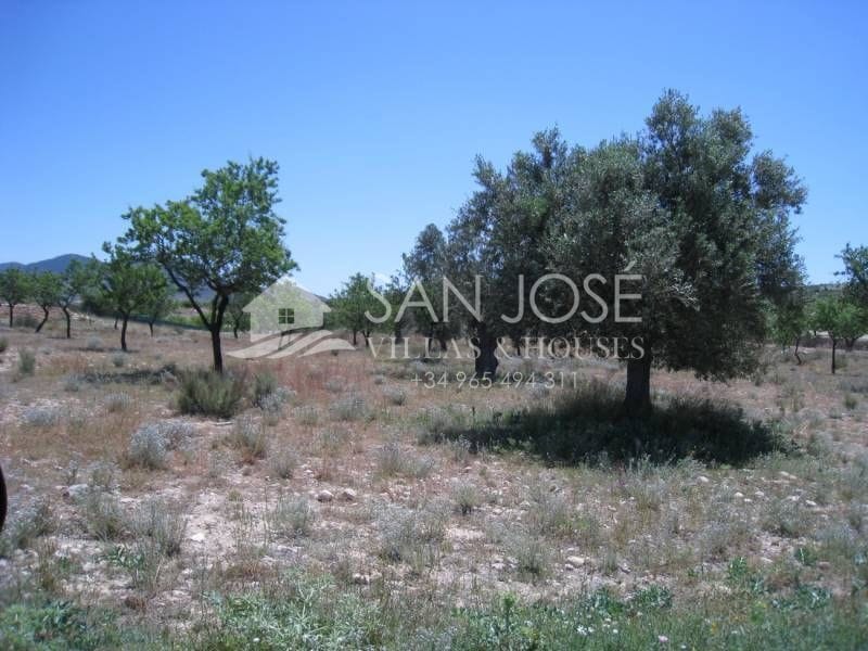 Terreno en Hondón de los Frailes, Alicante en venta Foto principal- Imagen 1 de 2