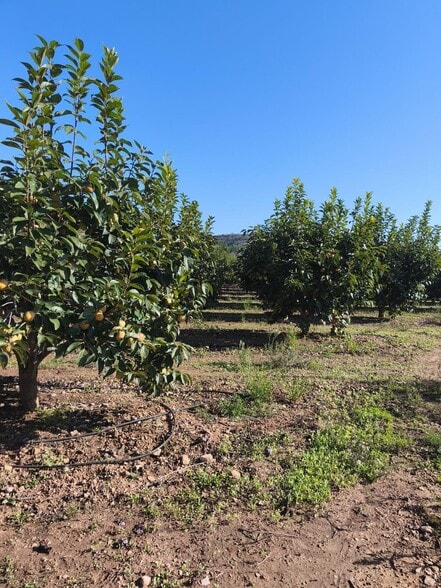 Terreno en València, Valencia en venta - Foto principal - Imagen 3 de 6