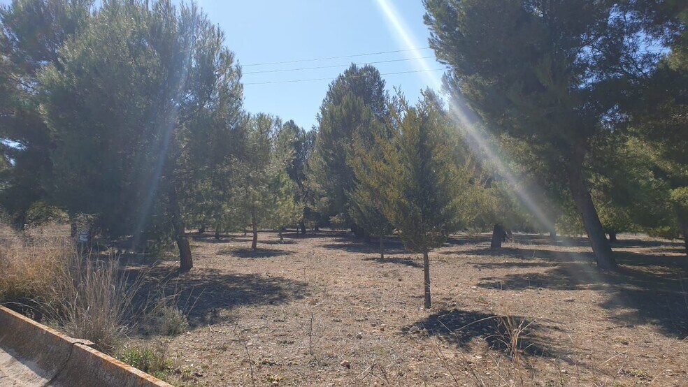 Terreno en Alicante, Alicante en venta - Foto principal - Imagen 3 de 4