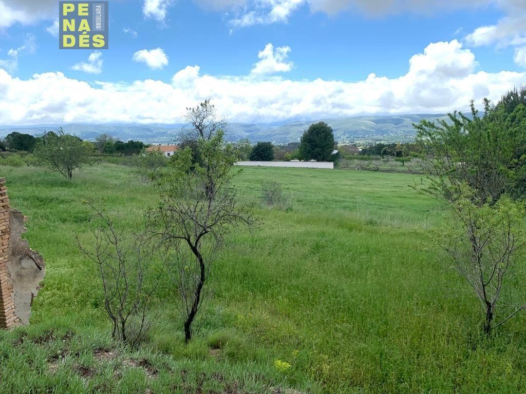 Ontinyent, Pla de Chirivia, Parcela 473, València, Valencia en venta Vista aérea- Imagen 1 de 4