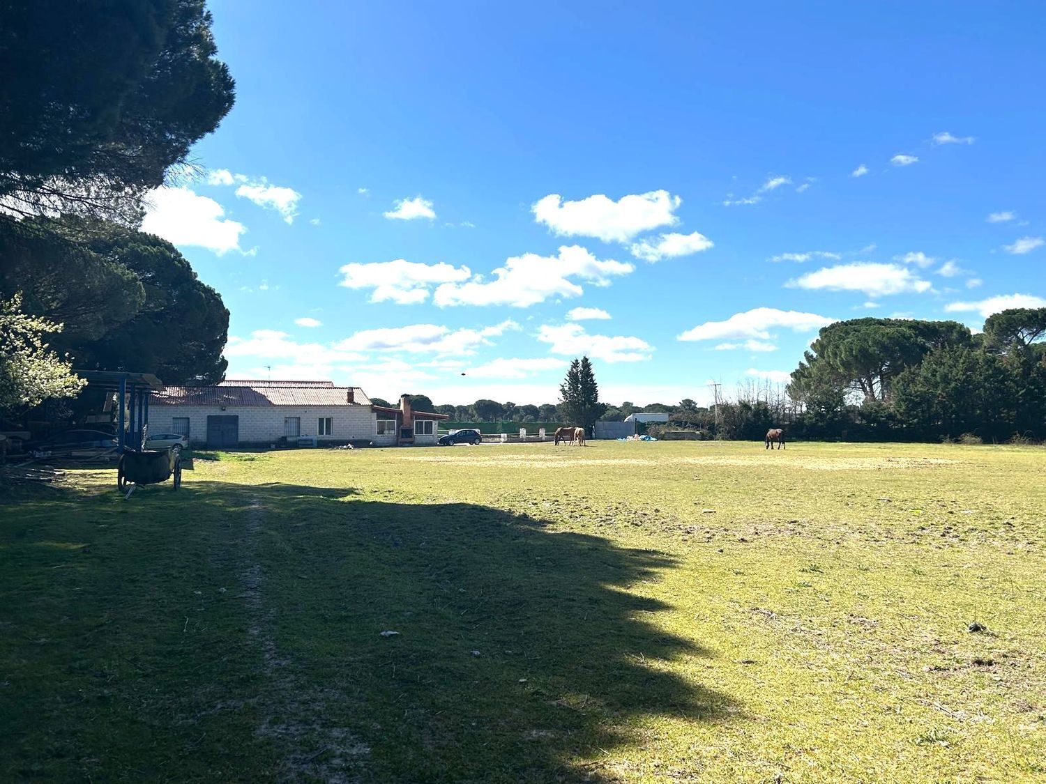 de Castillejo, S/N, Laguna de Duero, Valladolid en venta Foto del edificio- Imagen 1 de 47