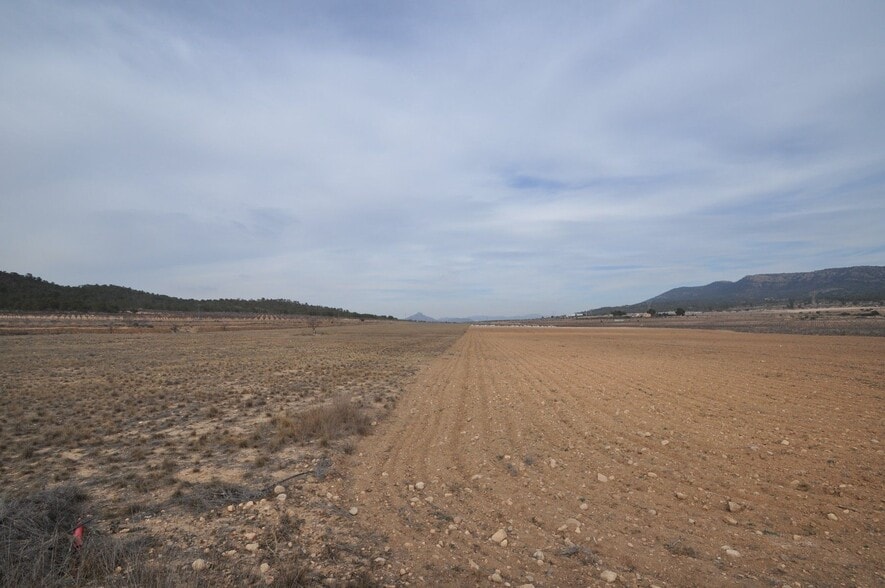 Terreno en MONÒVER, Alicante en venta - Plano del sitio - Imagen 3 de 3