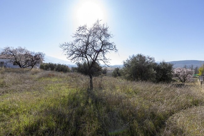 Más detalles de Nc, Padul - Terreno en venta