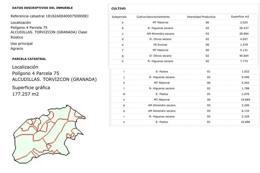 Paraje 346 Yeseras, 4, Torvizcón, Granada en venta - Foto principal - Imagen 1 de 30