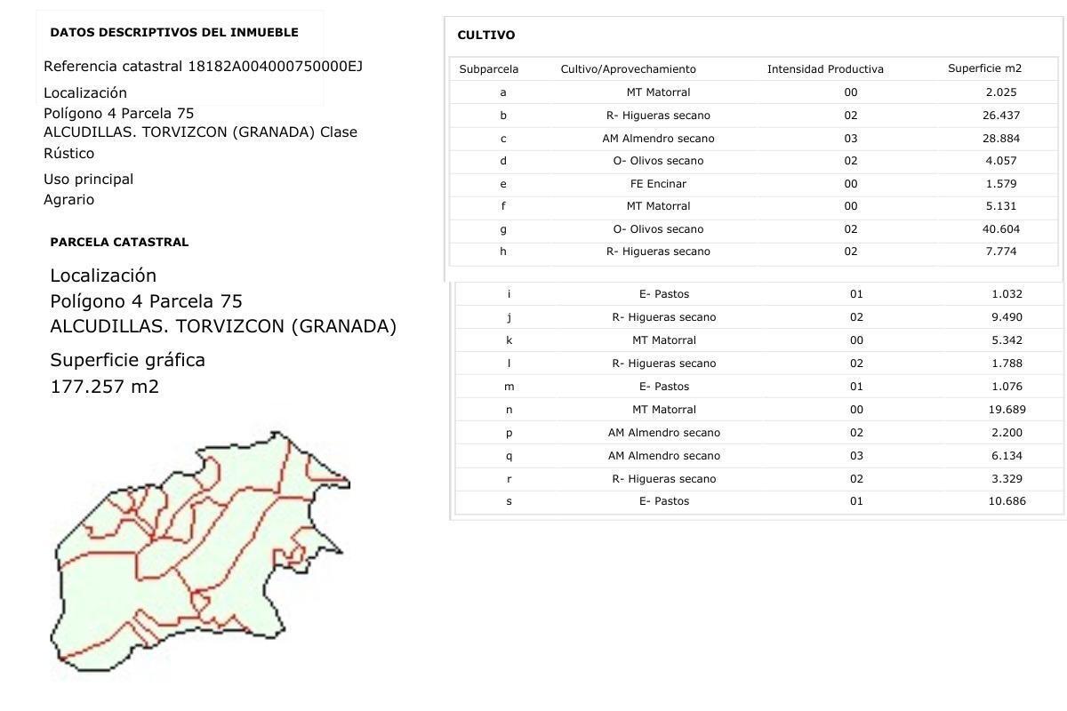Paraje 346 Yeseras, 4, Torvizcón, Granada en venta Foto principal- Imagen 1 de 31