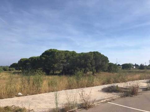 Carretera National 340, 408, L'Ametlla de Mar, Tarragona en venta Foto principal- Imagen 1 de 6