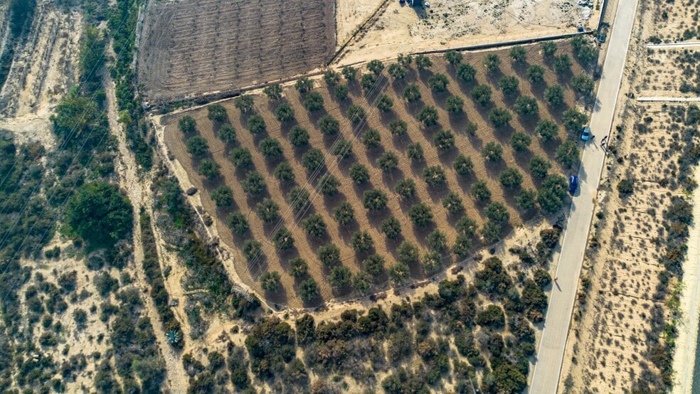 Parcela, 16, Crevillent, Alicante en venta - Foto del edificio - Imagen 3 de 7