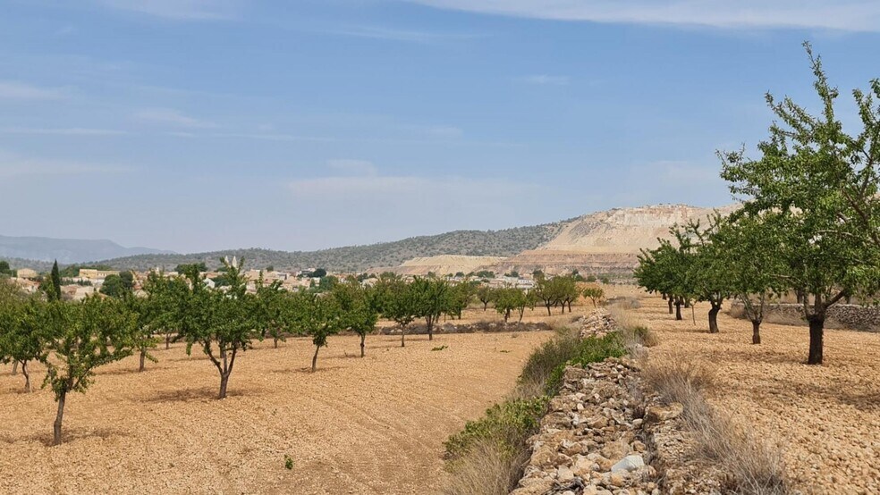 Terreno en Algueña, Alicante en venta - Vista aérea - Imagen 3 de 8