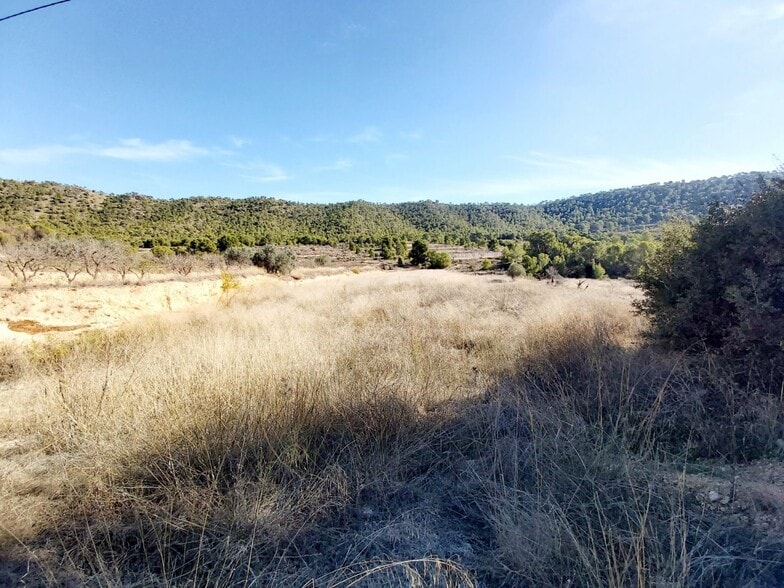 Terreno en La Romana, Alicante en venta - Vista aérea - Imagen 2 de 3