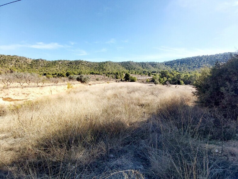 Terreno en MONÒVER en venta - Foto del edificio - Imagen 2 de 3