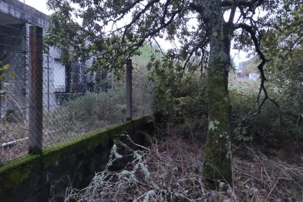 Nave en San Cristovo de Cea en venta Foto del edificio- Imagen 1 de 5