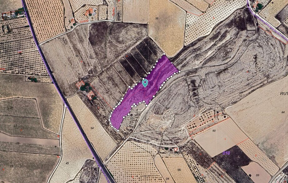 Sin Calle, PINOSO, Alicante en venta - Foto del edificio - Imagen 2 de 15