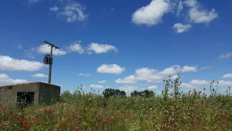 Terreno en Galindo y Perahuy, Salamanca en alquiler - Foto principal - Imagen 3 de 4