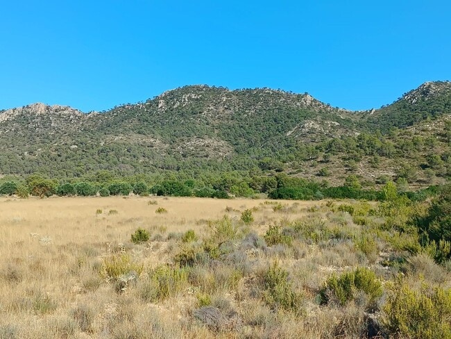 Más detalles de Terreno en venta