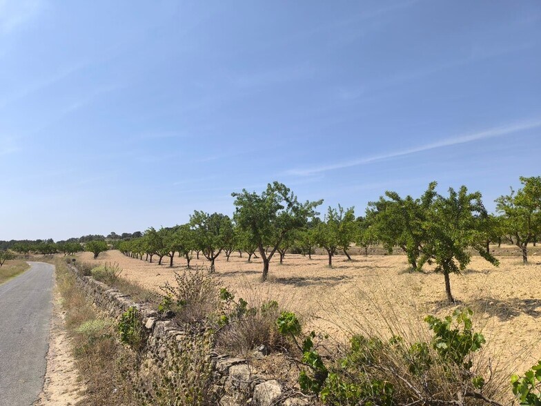 Terreno en MONÒVER, Alicante en venta - Foto principal - Imagen 2 de 5