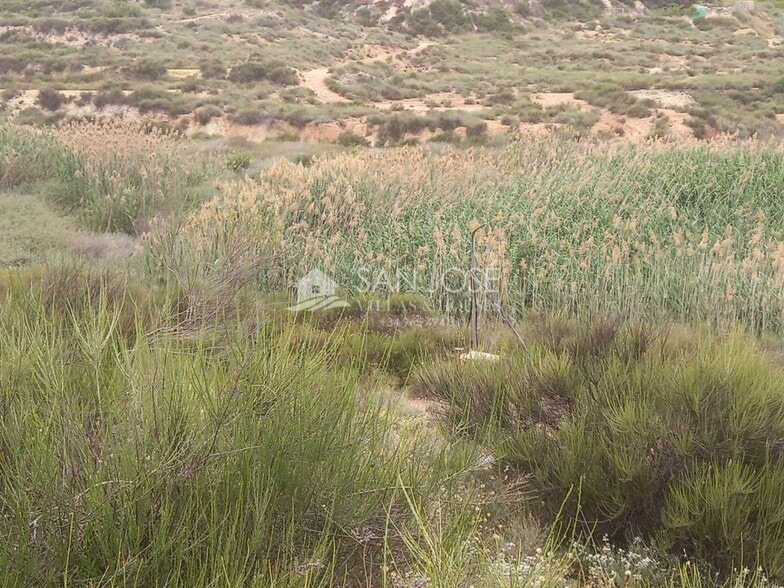 Terreno en Novelda, Alicante en venta - Foto principal - Imagen 2 de 17