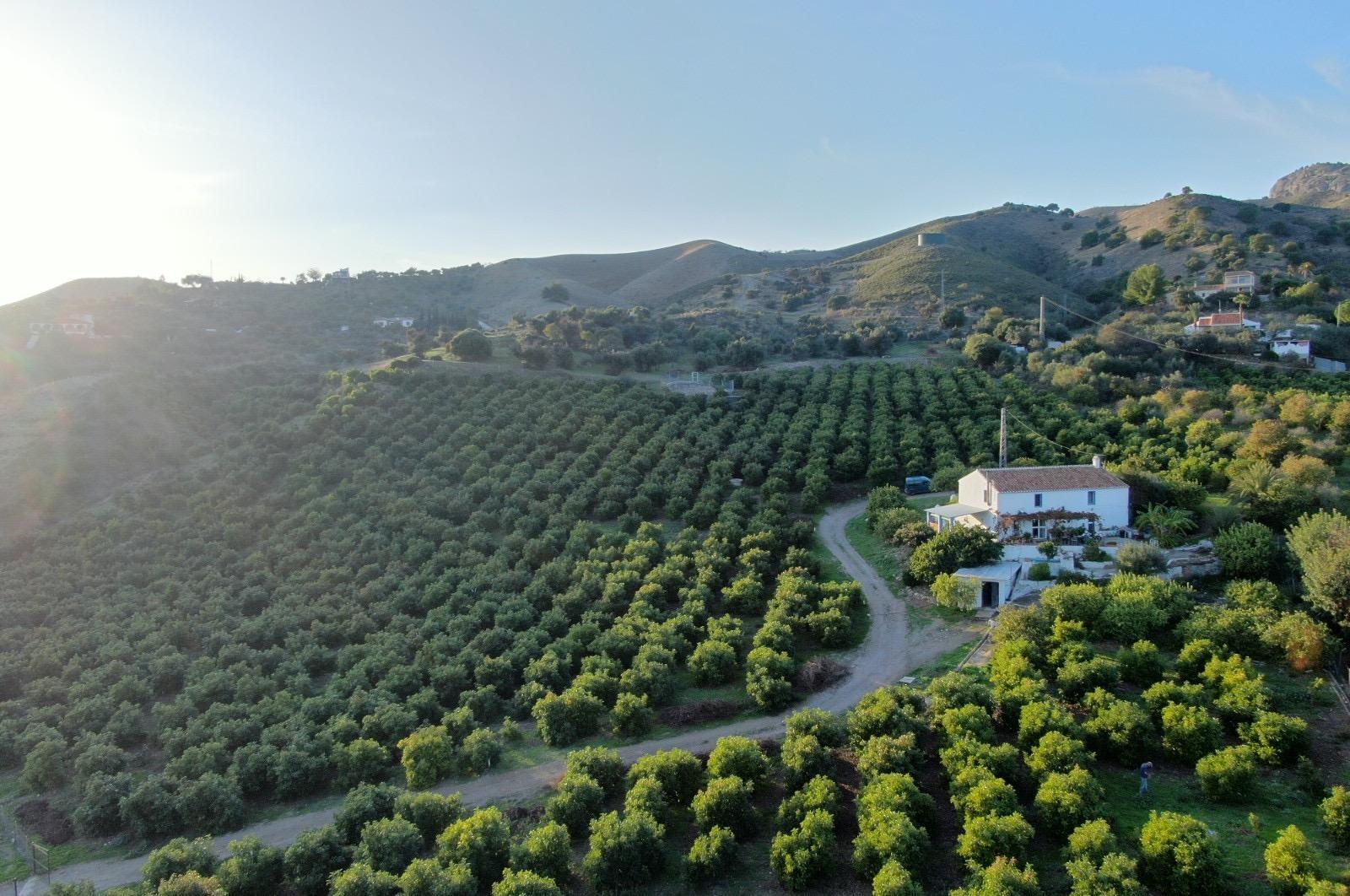 Terreno en Álora, Málaga en venta Foto del edificio- Imagen 1 de 16
