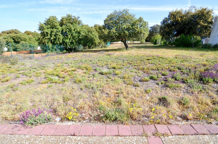 Terreno en Carrascal de Barregas en venta - Foto del edificio - Imagen 3 de 12