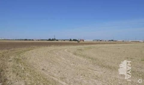 la Sagrilla - Poligono 17, S/n, Bajo Parcela 92, Torrejón de Velasco, Madrid en venta Foto principal- Imagen 1 de 1