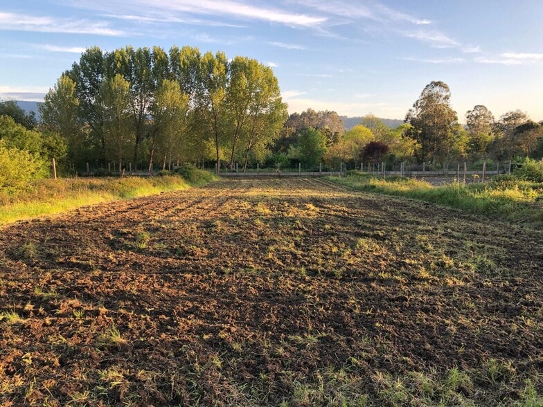 Terreno en Meis, Pontevedra en venta - Foto del edificio - Imagen 2 de 19