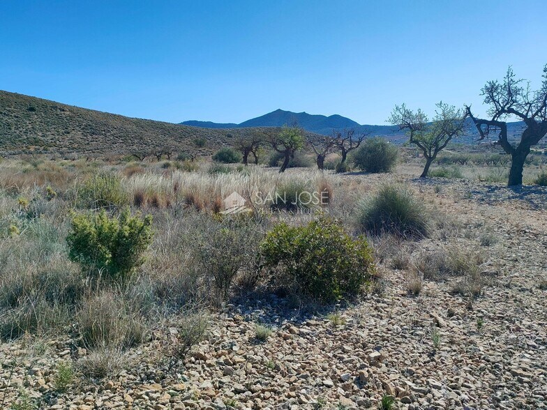 Terreno en Hondón de los Frailes, Alicante en venta - Vista aérea - Imagen 3 de 6