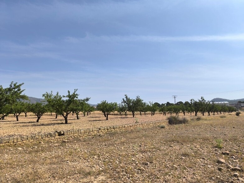 Terreno en MONÒVER, Alicante en venta - Foto principal - Imagen 2 de 8