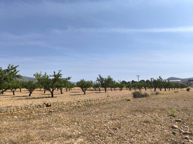 Terreno en MONÒVER, Alicante en venta - Foto principal - Imagen 2 de 8