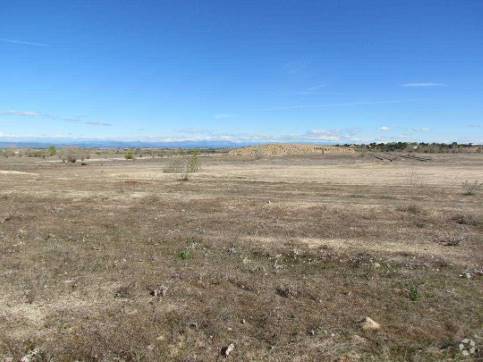 Camino Valdehornos, s/n, La Torre de Esteban Hambrán, Toledo en venta - Foto principal - Imagen 1 de 1