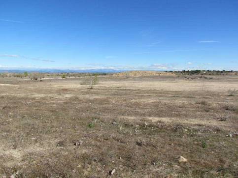 Más detalles de Camino Valdehornos, s/n, La Torre de Esteban Hambrán - Terreno en venta