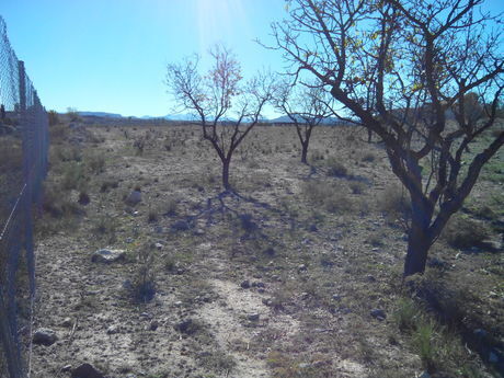 Terreno en Calasparra, Murcia en venta - Plano del sitio - Imagen 3 de 4